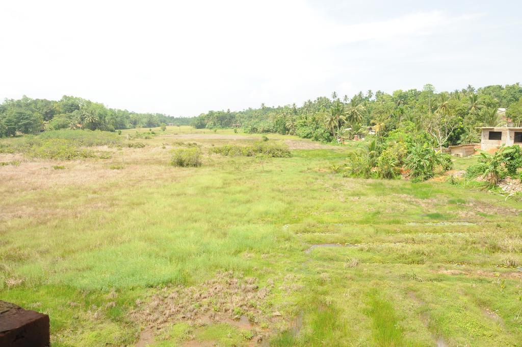 Deutsche Villa Hikkaduwa Exterior foto